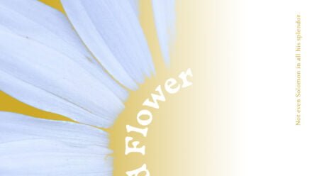 Wild Flower - Richard Dobeson